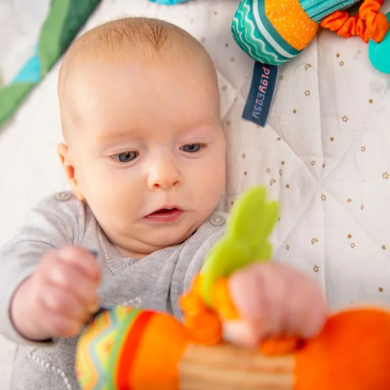 Baby’s First Playtime