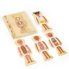 Bigjigs Female Human Anatomy Puzzle