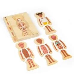 Bigjigs Female Human Anatomy Puzzle