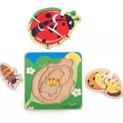 Bigjigs Lifecycle Puzzle Ladybird