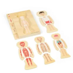 Bigjigs Male Human Anatomy Puzzle