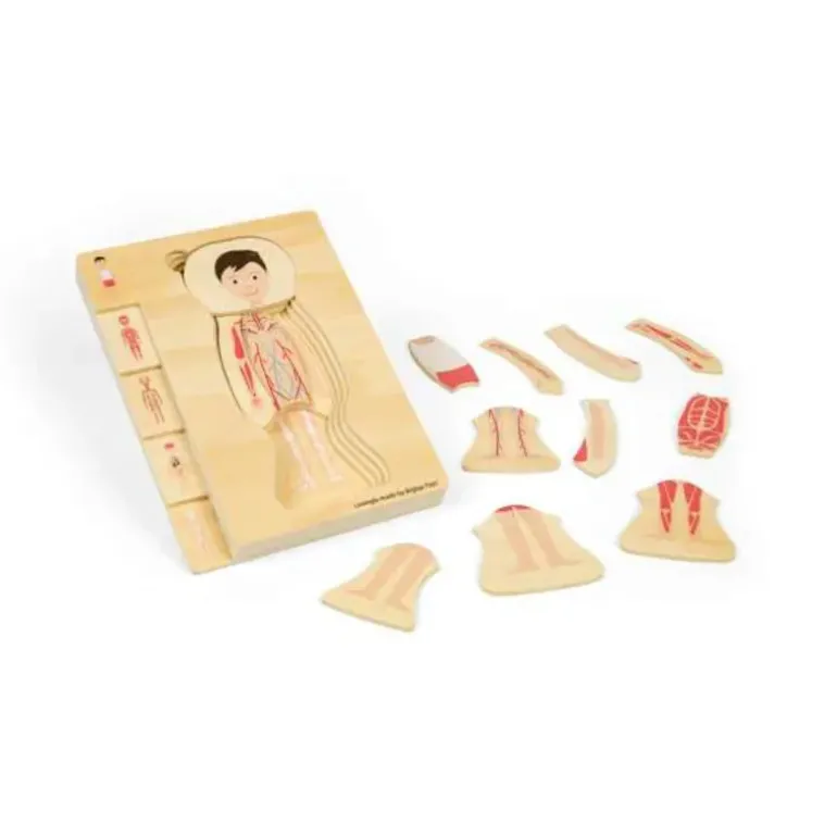 Bigjigs Male Human Anatomy Puzzle