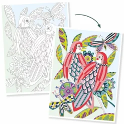 Djeco Large size colouring Birds