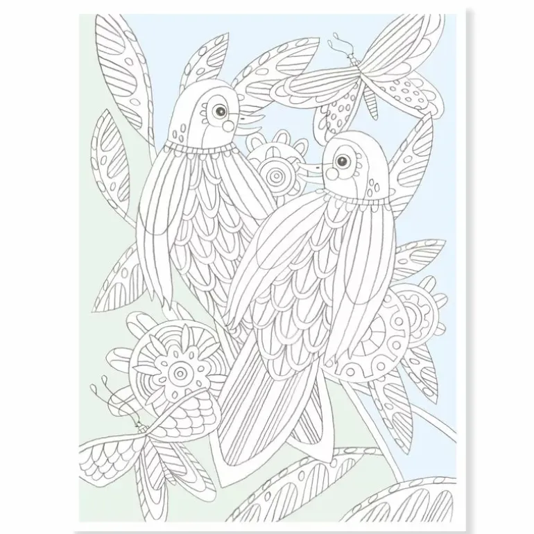 Djeco Large size colouring Birds