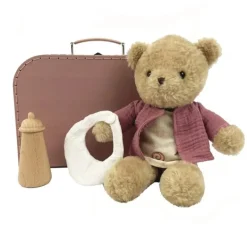 Morrissette Bear With Clothes In A Case