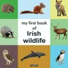 My First Book of Irish Wildlife