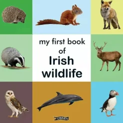 My First Book of Irish Wildlife