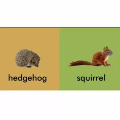 My First Book of Irish Wildlife