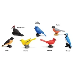 TOOB® Figurines Backyard Birds