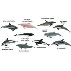 TOOB® Figurines Dolphins