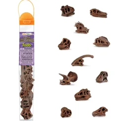 TOOBS® Figurines Dinosaur Skulls
