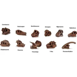 TOOBS® Figurines Dinosaur Skulls