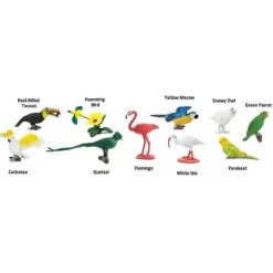 TOOBS® Figurines Exotic Birds