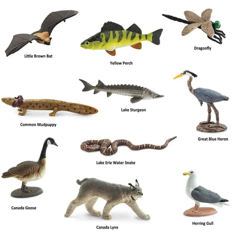 TOOBS® Figurines Great Lakes